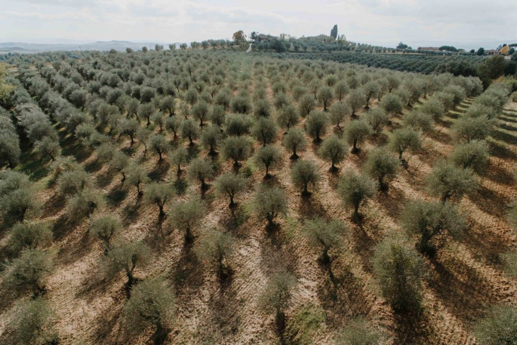 Oliveto Morettini ripreso da drone